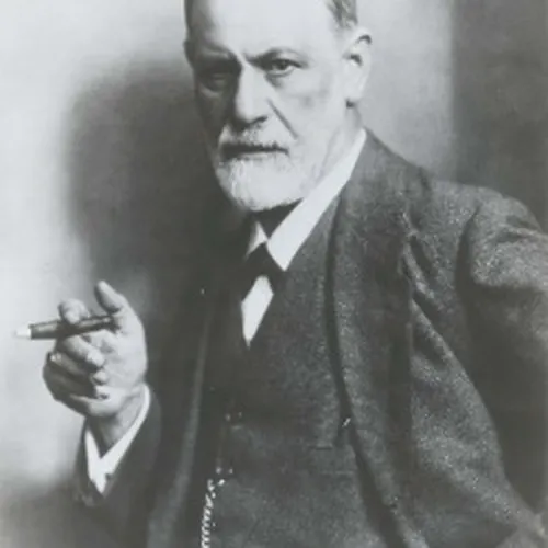 model profile